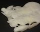 Antique Chinese Carved White Jade Figural Table Screen Birds Fan Shaped Birds photo 11