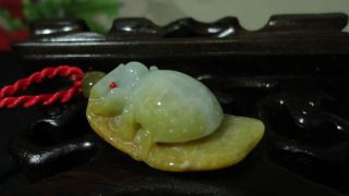 Chinese100%natural Green&yellow Skin Grade A Jade Jadeite Pendant/spider&leaf photo