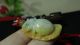 Chinese100%natural Green&yellow Skin Grade A Jade Jadeite Pendant/spider&leaf Necklaces & Pendants photo 4