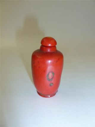Exceptional Antique Vintage Chinese Hand - Carved Coral Snuff Bottle & Stopper photo