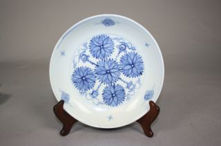 Chinese Blue And White Enameled Porcelain Flower Dish photo