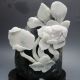 100% Natural Dushan Jade Hand - Carved Statue - - Lotus Flower Nr/pc2397 Other photo 1