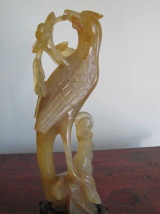 Antique Chinese Brown Jade Bird Statue On Wood Carved Stand photo
