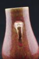 Chinese Rare Elegant Vases Vases photo 4