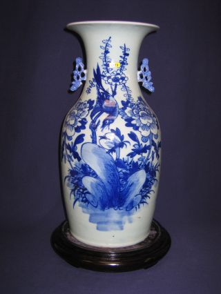 Antique Chinese Vase,  Qing Dynasty,  Small Bird Design photo