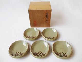 Japanese Pottery Plate 5set W/signed Box; Tea Ceremony/ Tasteful Shape/ 896 photo