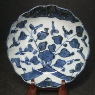 F706: Real Japanese Old Imari Blue - And - White Namasu Plate With Shepherd ' S Purse photo