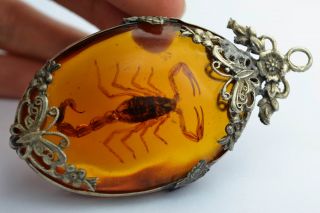 - China Collectibles Amber Old Handwork Scorpion Butterful Pendant photo