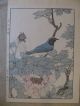 Woodblock Print By Imao Keinen - Blue And White Flycatcher (kacho - Ga) Prints photo 2