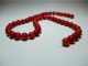 Chinese Rare Red Coral Buddhist 