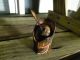 Very Old Oriental Handcarved Ox - Bone Snuff Bottle Snuff Bottles photo 5