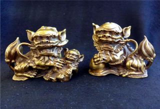 Pair Detailed Brass Chinese Foo Dogs Guardian Lion Statues photo