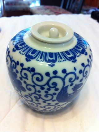 Anitque Blue And White Ginger Jar photo