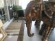 A Pair Of Antique Copper Elephants Very Ornate Elephants photo 3