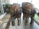 A Pair Of Antique Copper Elephants Very Ornate Elephants photo 5
