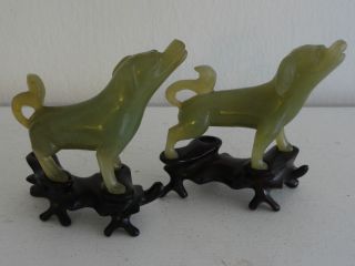 Pair Jade Carved Chinese Dogs 18th - 19th Century photo