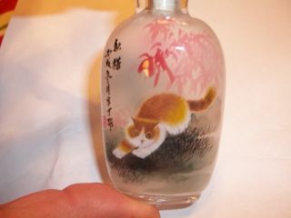 Inside Painted Snuff Bottle - Cat Motif Both Sides - Artist Signed W/ Box - photo