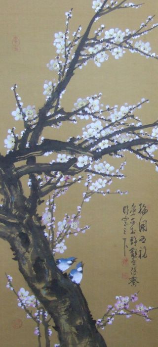 G902: Chinese Hanging Scroll Blue Bird On Plum Tree With Calligraphy. photo