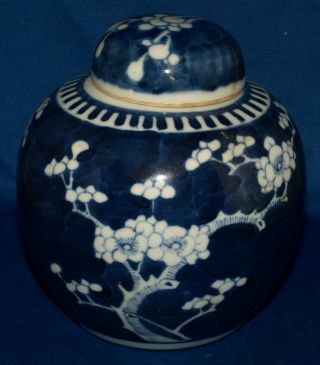 Antique Chinese Ginger Jar; Sapphire Blue With Prunis Blossoms photo