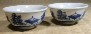 Ceramic Sake Cup / Teahouse Design / Japanese / Vintage photo