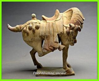 Rare China Pottery Begnaw Hind Leg Age Horse Statue photo