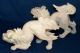 Pair Of Chinese Dogs; Highly Detailed In White Porcelain; Numbered Set Dogs photo 4