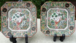 Pair Antique Rare Pattern Chinese Rose Medallion Plates - Dog & Bird photo