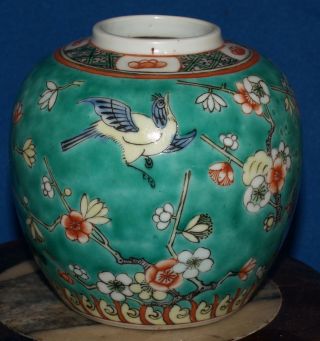 Antique Chinese Ginger Jar; Color Glaze - Prunis Blooms With Magpies photo