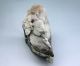 1646g Chinese Dushan Jade Carved Pine Ship Carving Nr Other photo 3