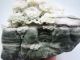 1646g Chinese Dushan Jade Carved Pine Ship Carving Nr Other photo 8