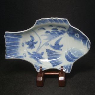 F828: Real Japanese Old Imari Blue - And - White Porcelain Plate Of Sea Bream Form photo