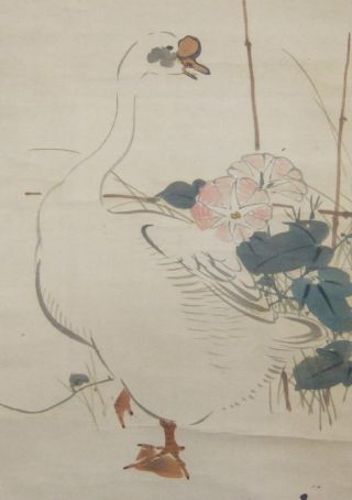 F947: Japanese Hanging Scroll Duck With Morning Glory. photo