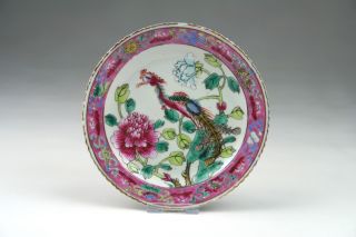 19th/20thc Chinese Qing Famille Rose Straits Nonya Phoenix Porcelain Dish photo