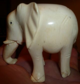 Faux Ivory Thick Heavy Fat Elephant Carving Natural Grain C19th 112 Grams photo