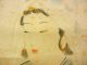 Japan Jiku,  Hanging Scroll,  Kannon Sama,  100 Years Ago,  Taisho Era,  Buddhism,  6 Paintings & Scrolls photo 1