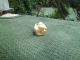 Antique Japanese Netsuke Woman W/ Walking Stick And Basket ' Faux ' Ivory Bone Netsuke photo 1