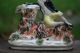 19th C.  Staffordshire Of The Seated Male Figure On The Bearded Goat Figurines photo 2