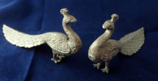 Spelter Birds Table Peacocks Pair Of Figurines Early 20th Century Statues photo
