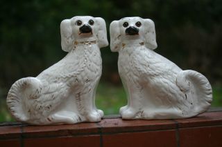 Pair Of 19th C.  Staffordshire White & Gilt Hearth Dogs With Glass Eyes photo