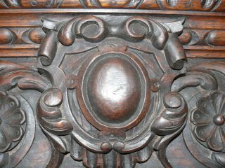 19thc Oak Carved Pediment With Heraldic & Floral Decor photo