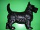 Awesome Estate Cast Iron Hubley? Scottish Terrier Dog Door Stop Unique Metalware photo 4