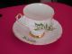 Staffordshire English Castle Bone China Vintage Tea Cup & Saucer Cups & Saucers photo 3