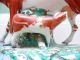 19thc Staffordshire Spill Figure Of Cow & Calf Figurines photo 1