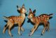 Vintage Japan Porcelain Ceramic Pottery Gorgeous & Sweet Fawn Deer Figurine Figurines photo 10