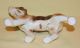 Vintage Japan Porcelain Ceramic Pottery Lovely Beagle Or Fox Hound Dog Figurine Figurines photo 11