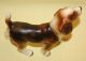 Vintage Japan Porcelain Ceramic Pottery Lovely Beagle Or Fox Hound Dog Figurine Figurines photo 8