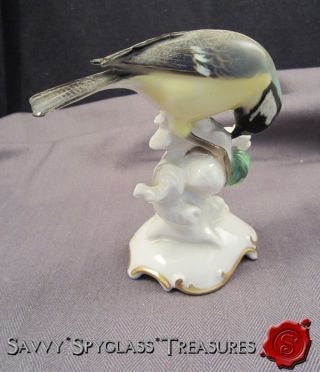 Vintage Hutschenreuther Germany Porcelain Figurine Kohlmeise Great Titmice Bird photo