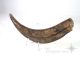 Very Rare Antique Brass Piece For Decorative Metalware photo 3