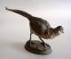 Antique Austrian Vienna Cold Painted Bergman Bronze Pheasant Figurine Metalware photo 2