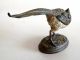 Antique Austrian Vienna Cold Painted Bergman Bronze Pheasant Figurine Metalware photo 4